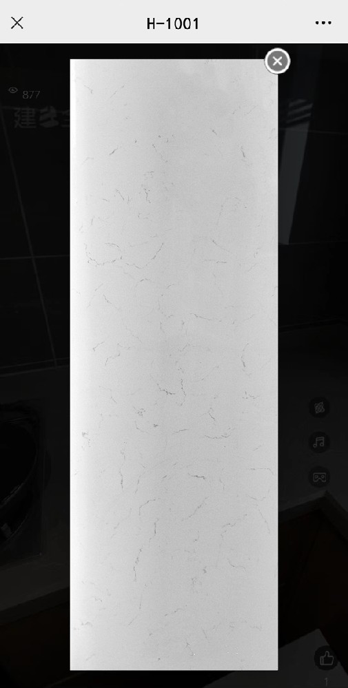 H-1001