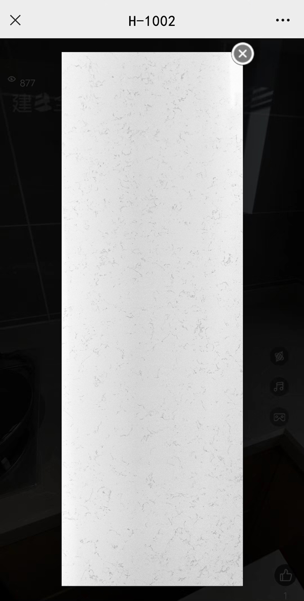 H-1002.jpg