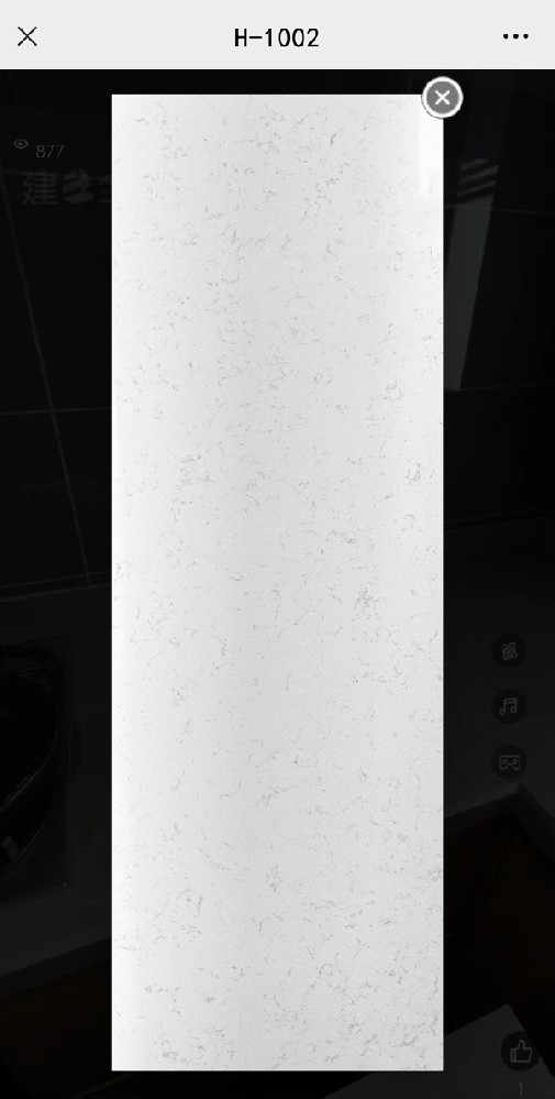 H-1002