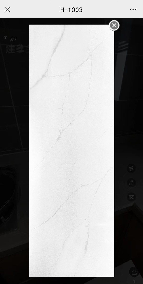 H-1003.jpg