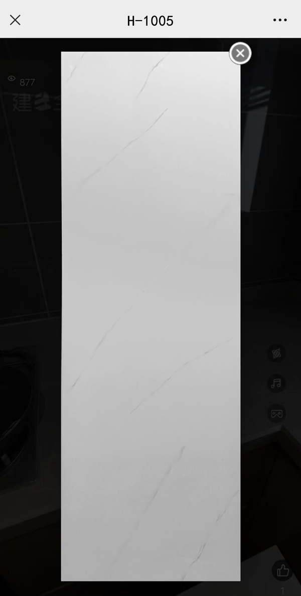 H-1005.jpg