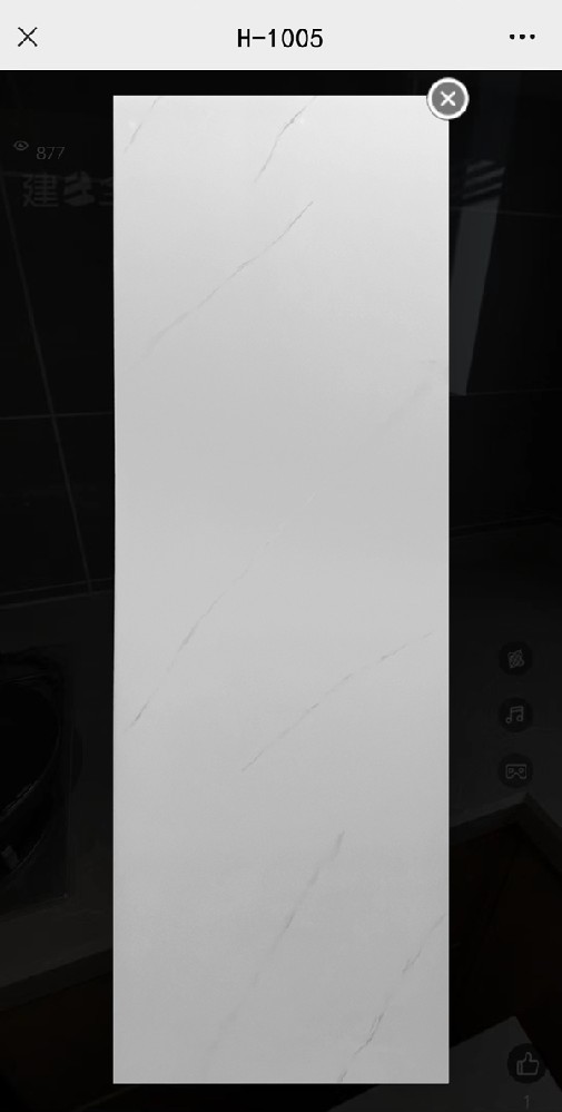 H-1005