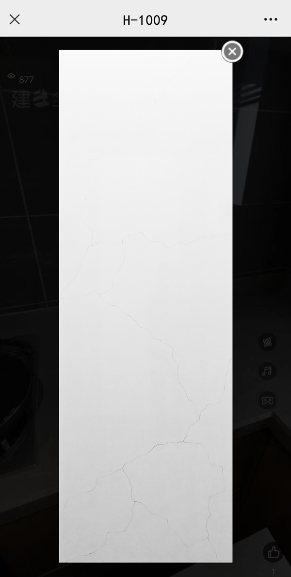 H-1009.jpg