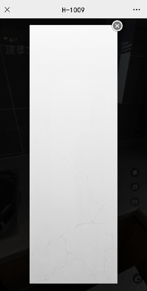 H-1009